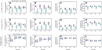 Genotype determines Arbutus unedo L. physiological and metabolomic responses to drought and recovery